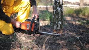 Lawn Grading and Leveling in Biltmore, TN